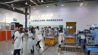 近950万人持证 多措并举 助残疾人就业回归社会